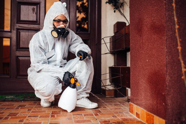 Reliable Wasp Removal contractor in Haynesville, LA by Show Me Pest Control